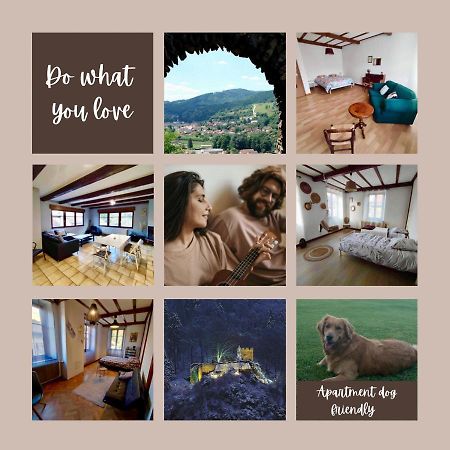 Gite Chez Lulu Proche Du Chateau De Schirmeck Διαμέρισμα Εξωτερικό φωτογραφία